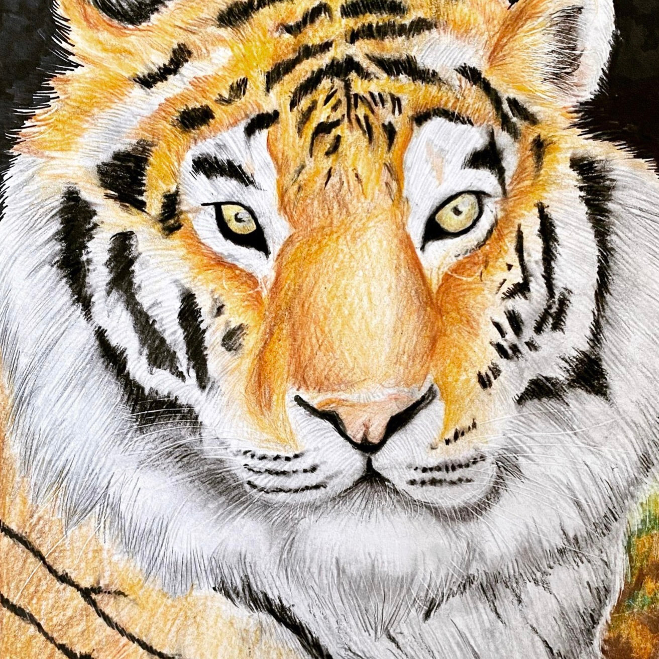 Sketching A Solution – DRAWING FOR THE PLANET, image size:1312x1312