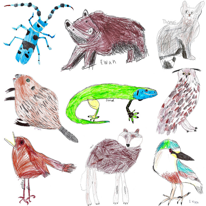 Ukrainian Wildlife Drawing Workshop